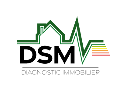 DSM DIAGNOSTIC IMMOBILIER